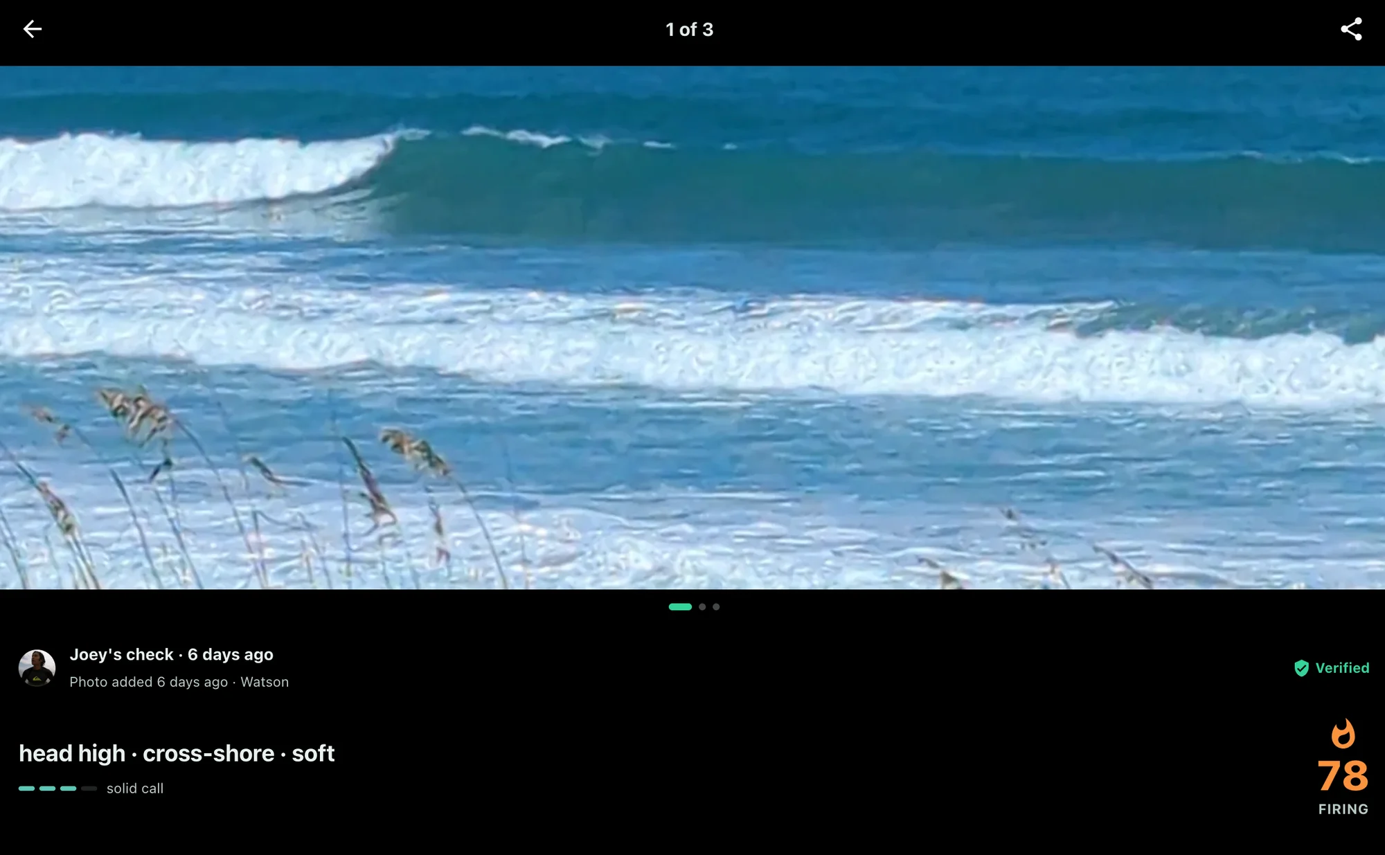 The photo viewer on the first of three photos, a wide shot of a peeling wave at Watson behind dune grass, labelled Joey's check from six days ago and marked Verified, with the call head high, cross-shore, soft rated a solid call, and a score of 78, Firing
